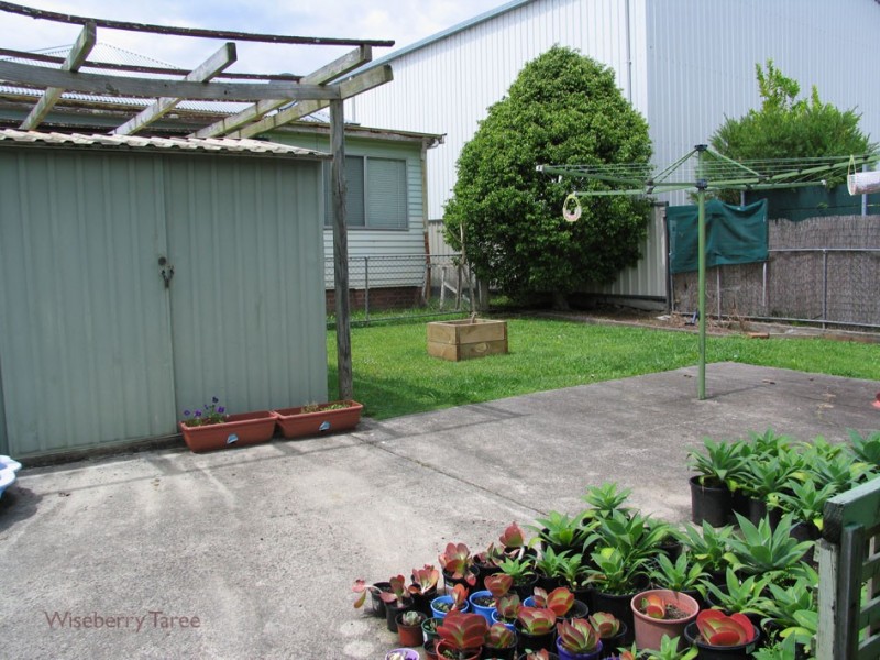 Taree NSW 2430