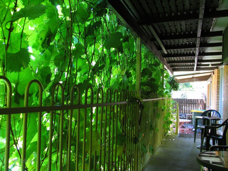 Taree NSW 2430