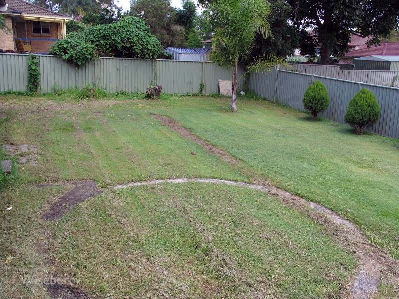 Taree NSW 2430