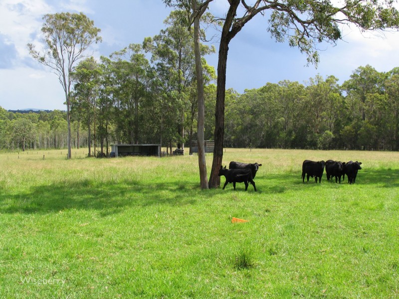 173 Brimbin Road, Cundletown NSW 2430