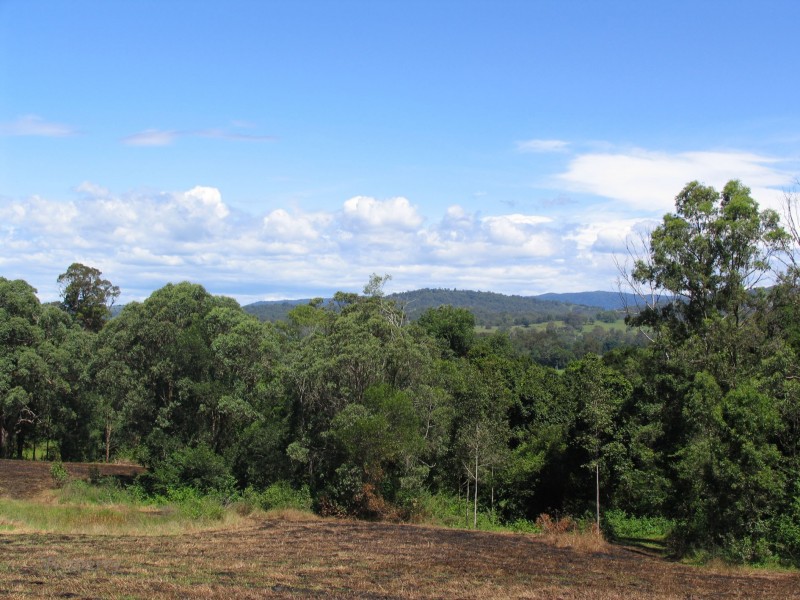 4 Summerland Place, Wingham NSW 2429