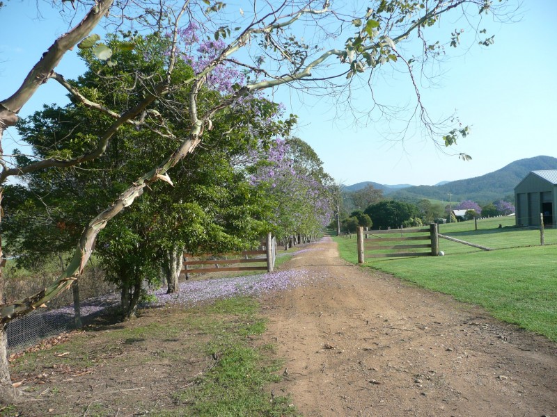 2 Burri Close, Marlee NSW 2429