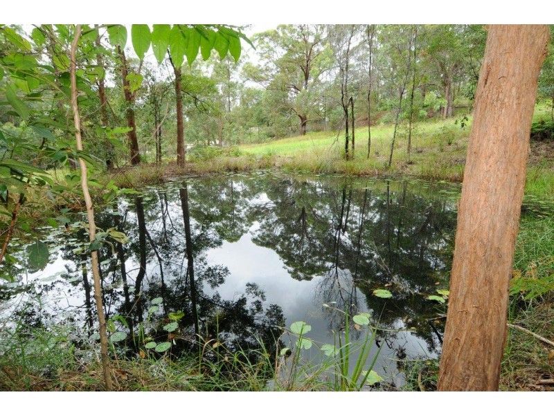 498 Bunya Road, Eumundi QLD 4562