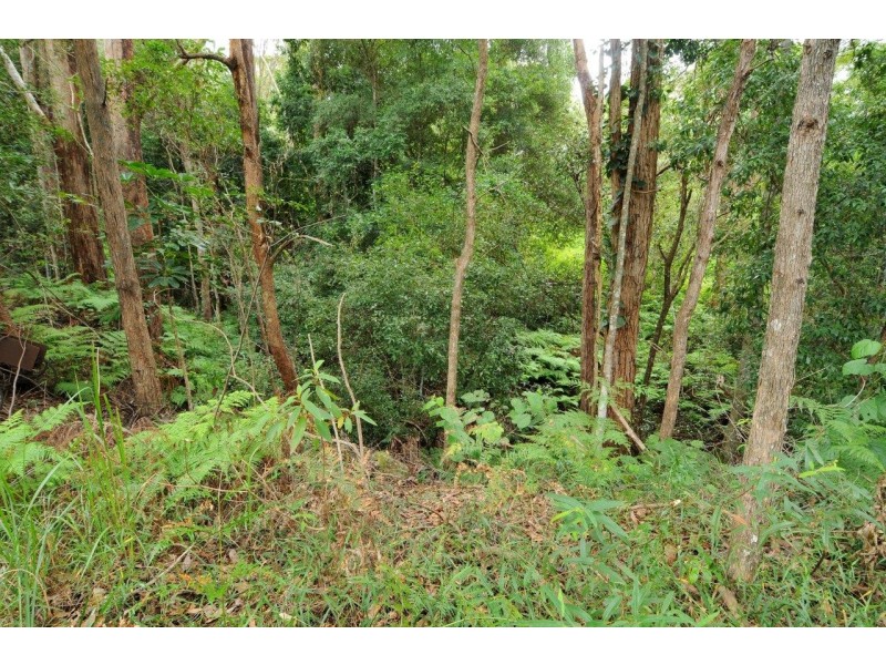 498 Bunya Road, Eumundi QLD 4562