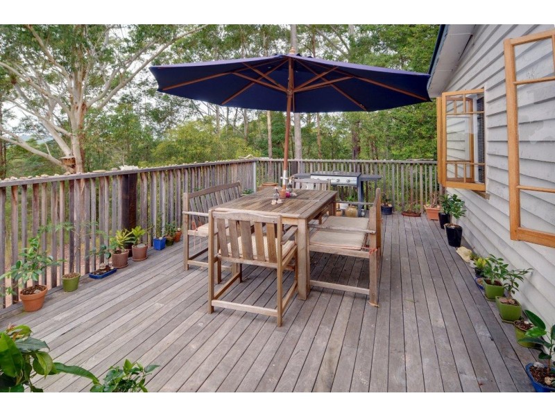498 Bunya Road, Eumundi QLD 4562