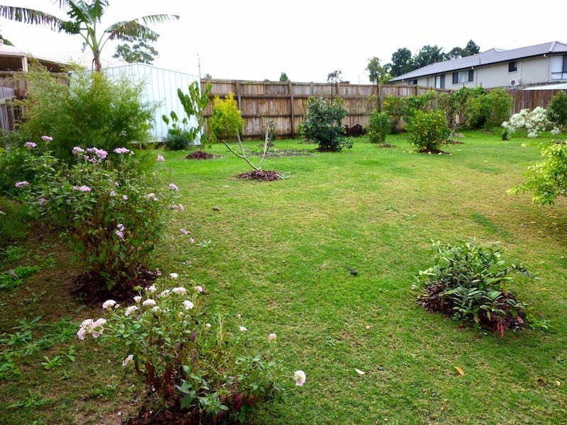 3 Sharwill Ct, Glass House Mountains QLD 4518