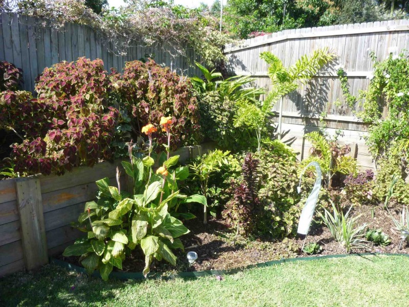 55 Byee Cct, Aroona QLD 4551