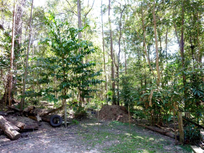 58 Mount Combe Rd, Yandina QLD 4561