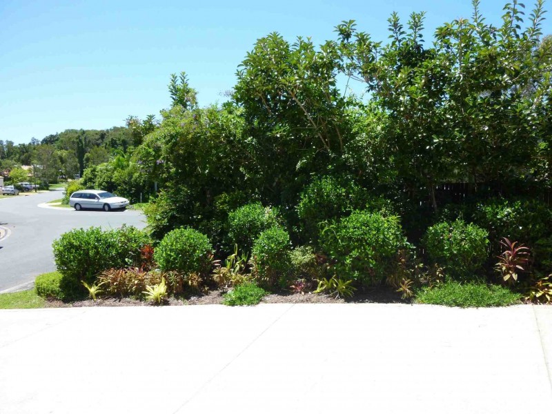 1 Sittella Court, Noosa Heads QLD 4567