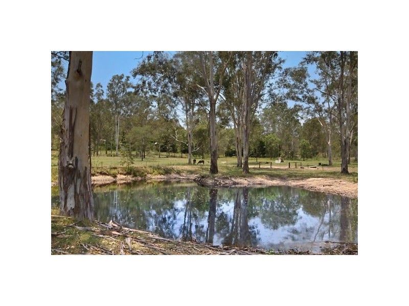 35 Arabian Court, Jimboomba QLD 4280