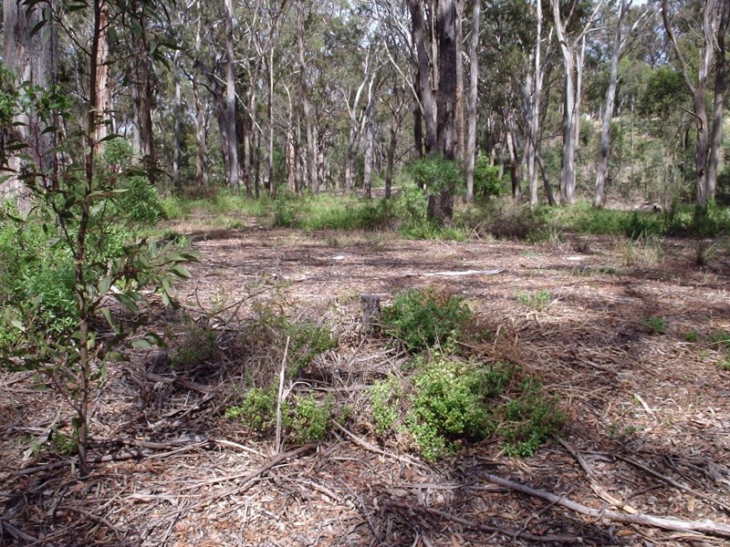 46 Nungurner Jetty Road, Nungurner VIC 3909