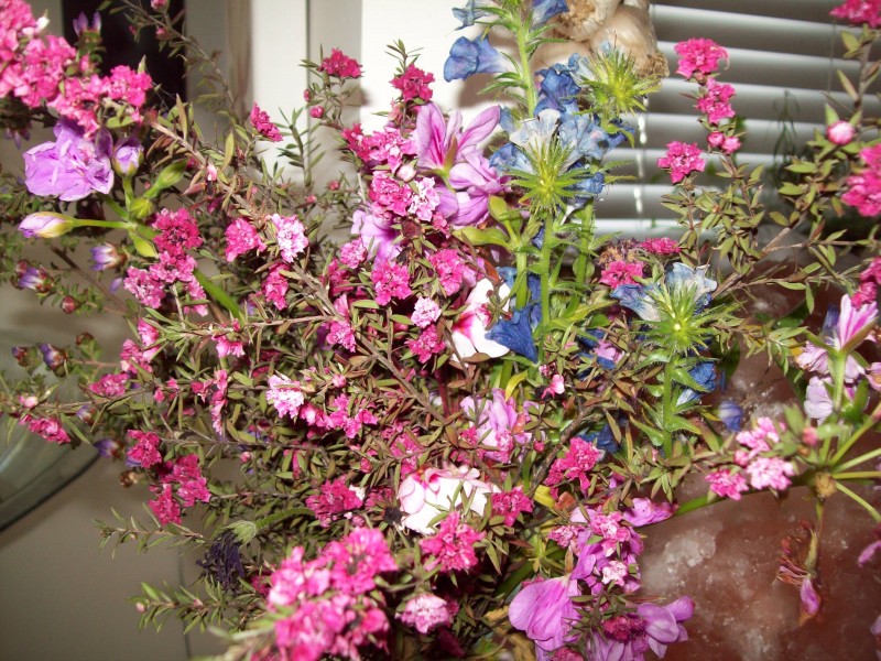 1 healeys lane, Melbourne VIC 3000