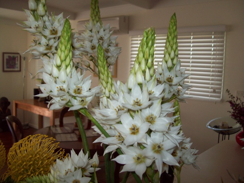 1 healeys lane, Melbourne VIC 3000