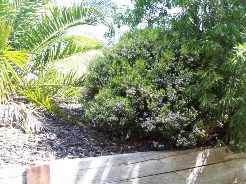 1/30 Mairburn Road, Metung VIC 3904