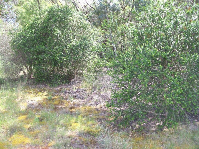 Lot/25 Kingscote Drive, Metung VIC 3904