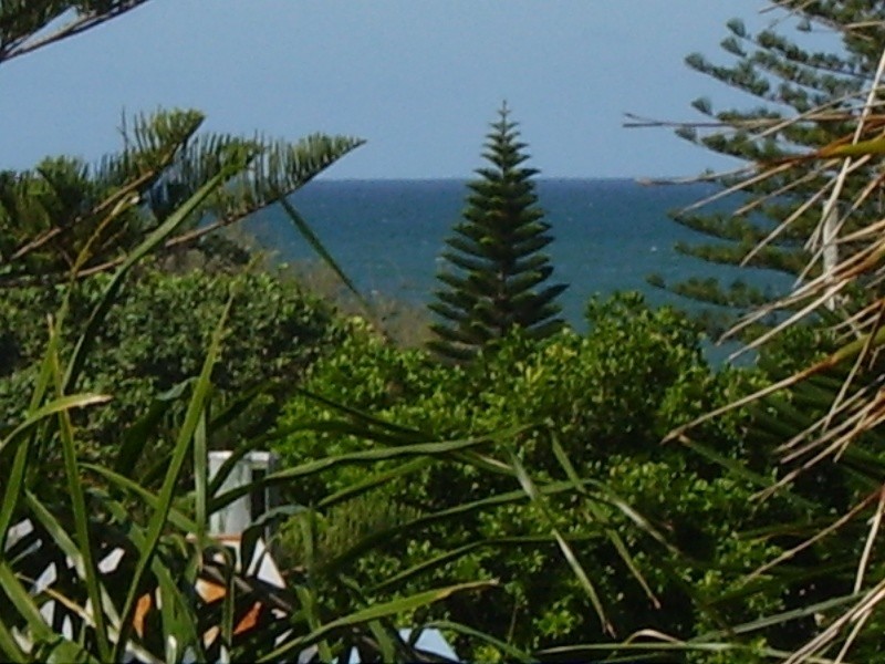 Dicky Beach QLD 4551