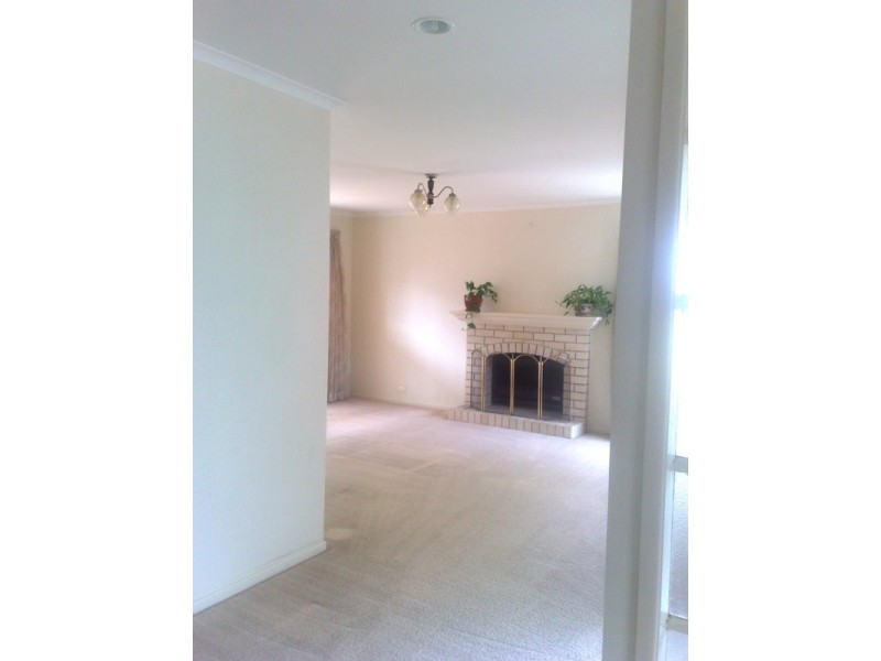 Dicky Beach QLD 4551