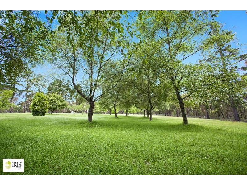 823 Mountain Lagoon Road, Bilpin NSW 2758