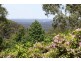 24-26 Skyline Road, Mount Tomah NSW 2758