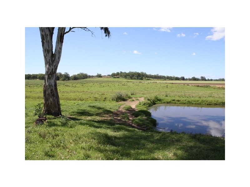 186 Grono Farm Road, Wilberforce NSW 2756