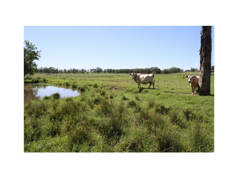 186 Grono Farm Road, Wilberforce NSW 2756