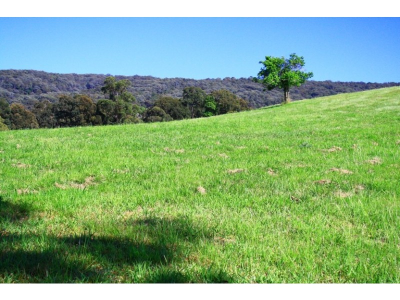Lot 104 / 84 Baileys Lane, Kurrajong NSW 2758