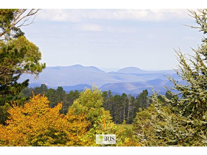 92 Powells Road, Bilpin NSW 2758