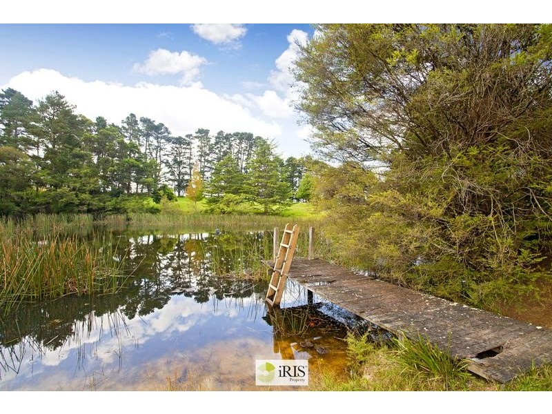 92 Powells Road, Bilpin NSW 2758