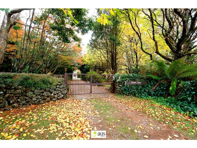 1 Skyline Road, Mount Tomah NSW 2758