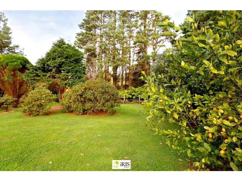 1 Skyline Road, Mount Tomah NSW 2758