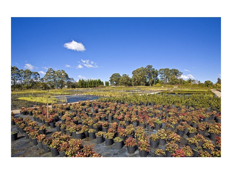 Arcadia NSW 2159