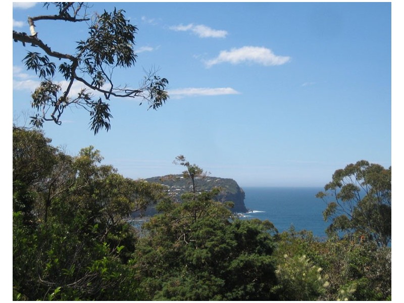 21 South Pacific Drive, Macmasters Beach NSW 2251