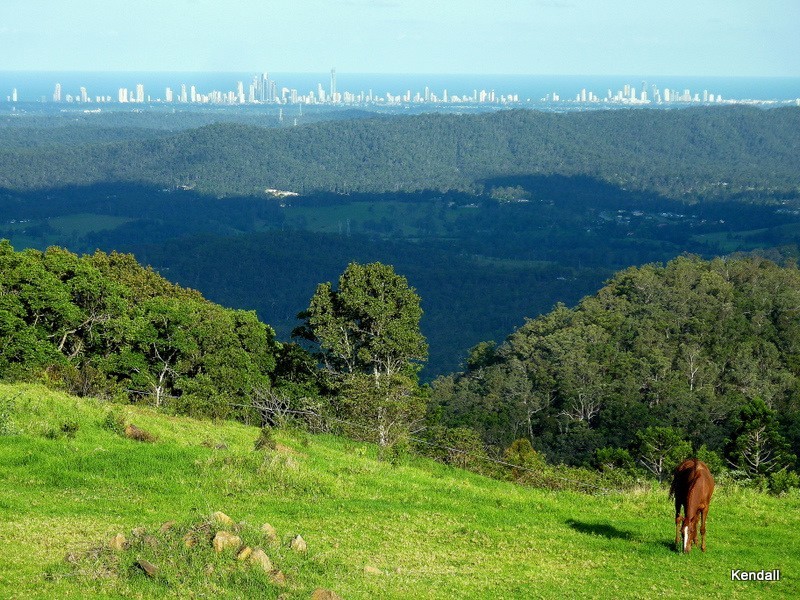 135 Curtis Road, North Tamborine QLD 4272