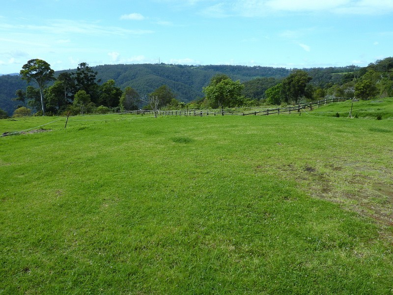 135 Curtis Road, North Tamborine QLD 4272