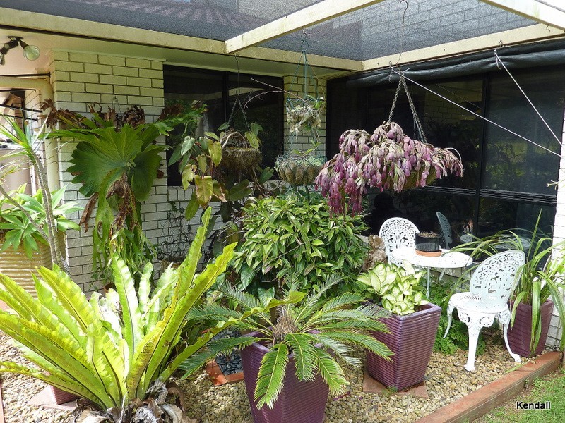 17 Justin Avenue, Tamborine Mountain QLD 4272