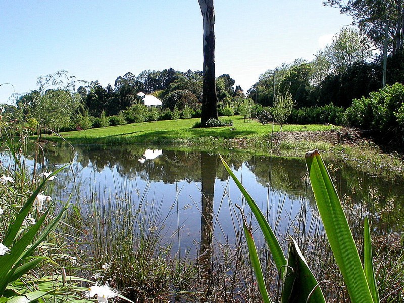 333 Long Road, Tamborine Mountain QLD 4272
