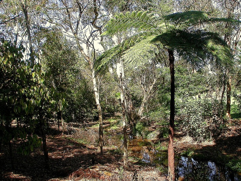 333 Long Road, Tamborine Mountain QLD 4272