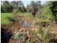 333 Long Road, Tamborine Mountain QLD 4272