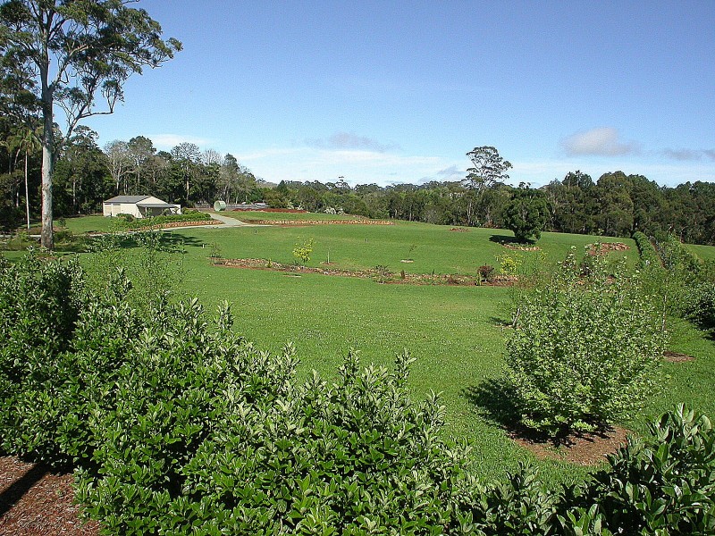 333 Long Road, Tamborine Mountain QLD 4272