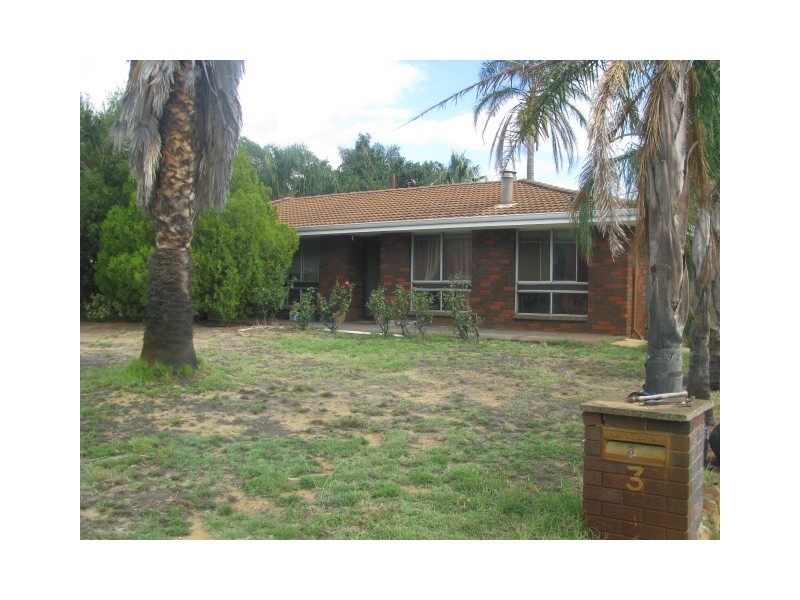 3 St Georges Avenue, Champion Lakes WA 6111