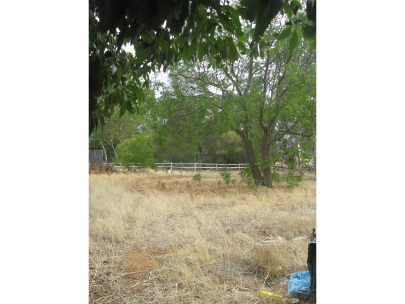 3 St Georges Avenue, Champion Lakes WA 6111