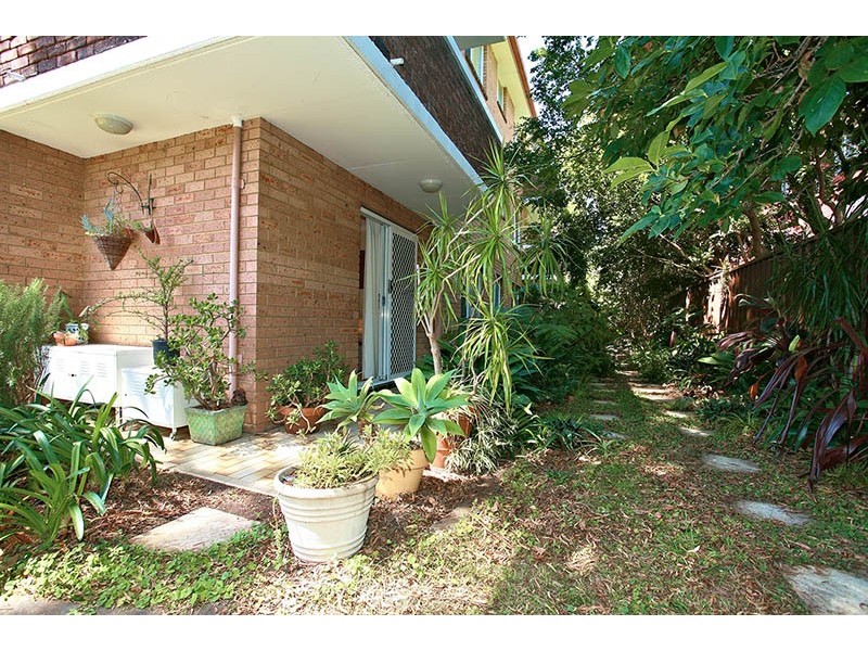 Ashfield NSW 2131
