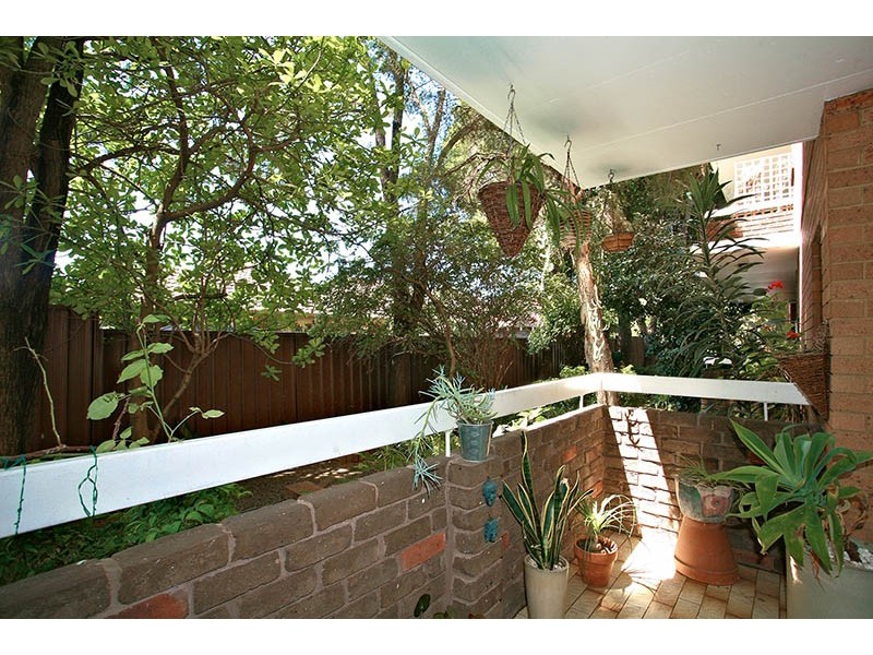 Ashfield NSW 2131
