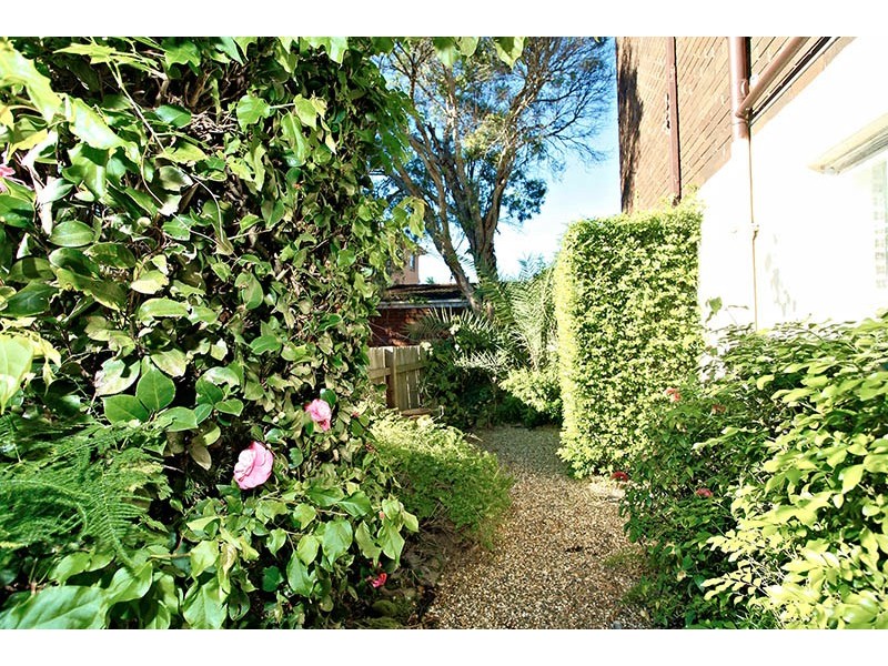 12/8 Cecil Street, Ashfield NSW 2131