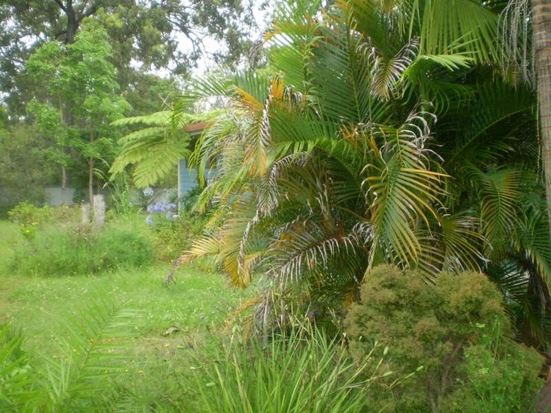 Coutts Crossing NSW 2460