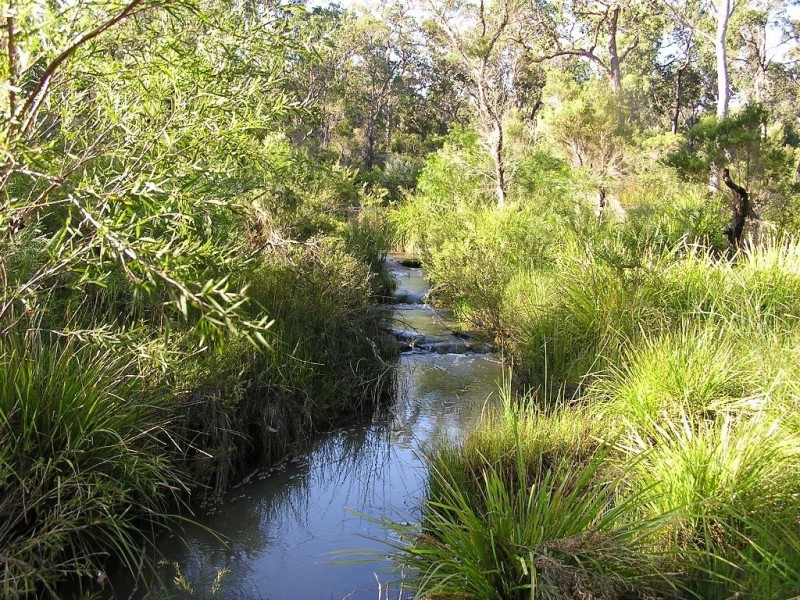 Fortis Creek NSW 2460