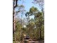 Fortis Creek NSW 2460