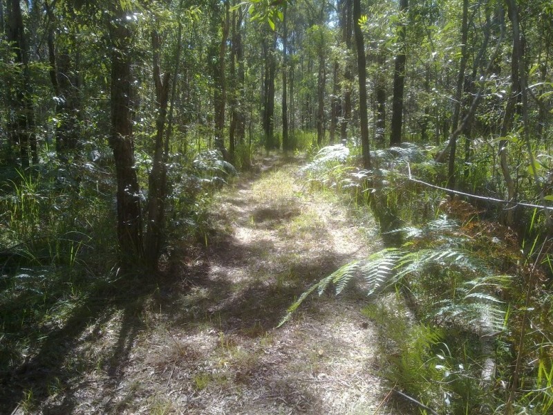 Fortis Creek NSW 2460