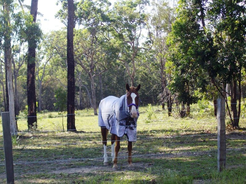 Gulmarrad NSW 2463
