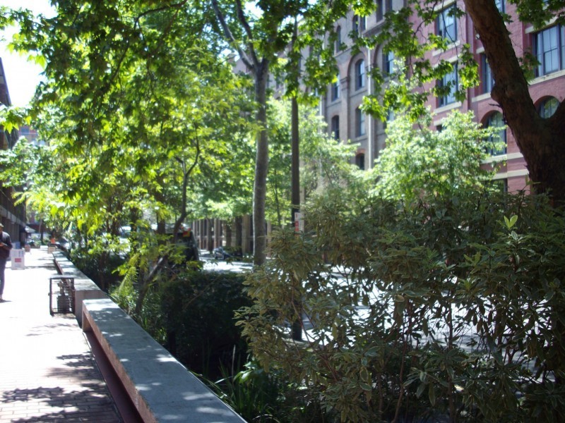 313 Harris Street, Pyrmont NSW 2009